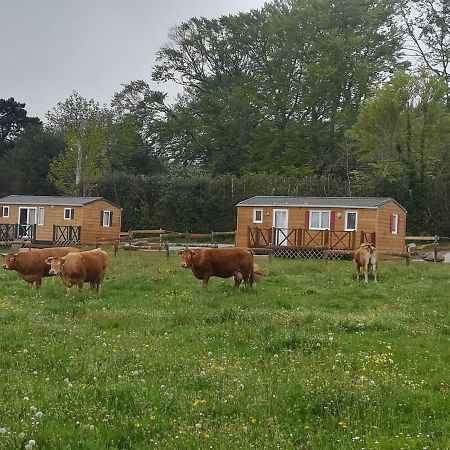 Les Chalets De Bes "Le Campagnard " Lacombe Εξωτερικό φωτογραφία